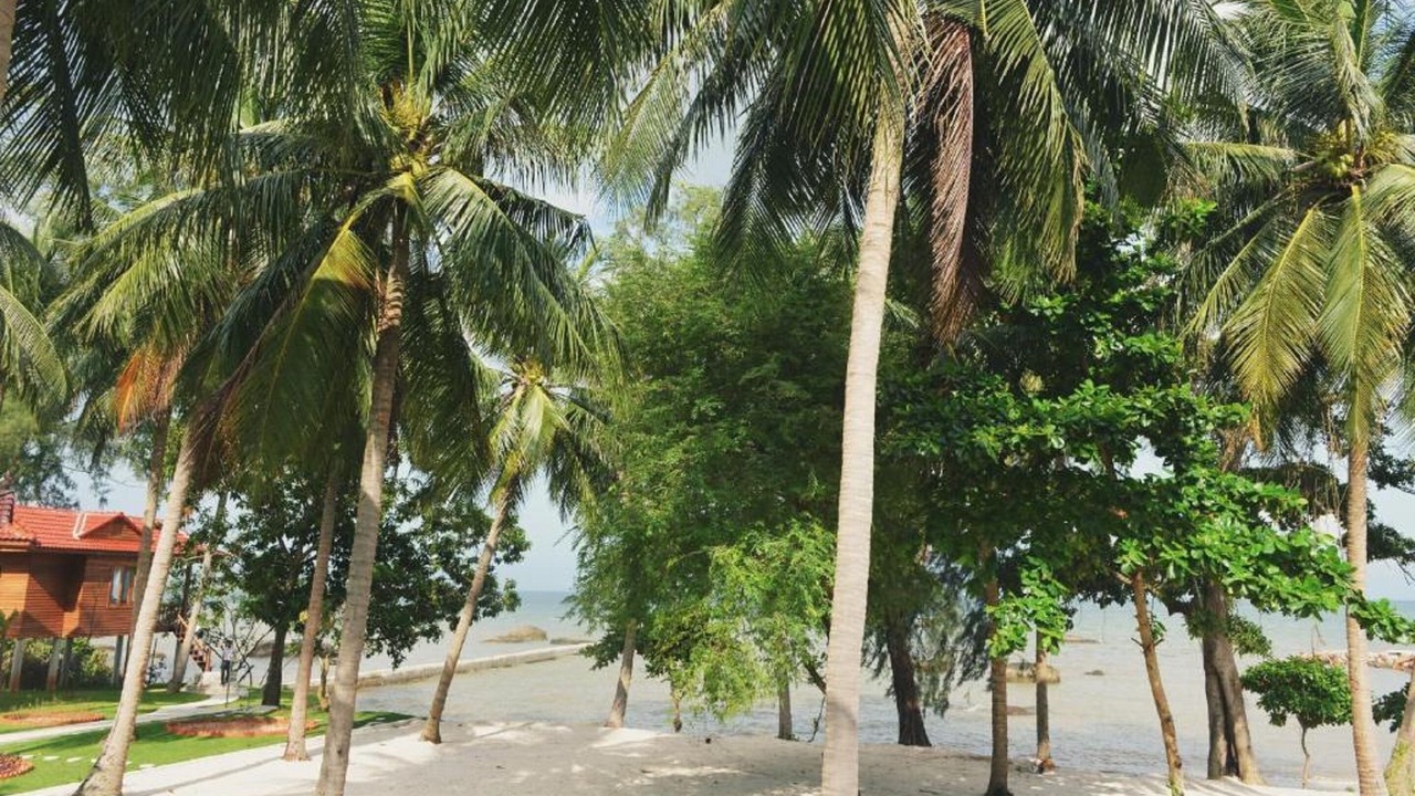 Photo of Others in Ham Ninh
