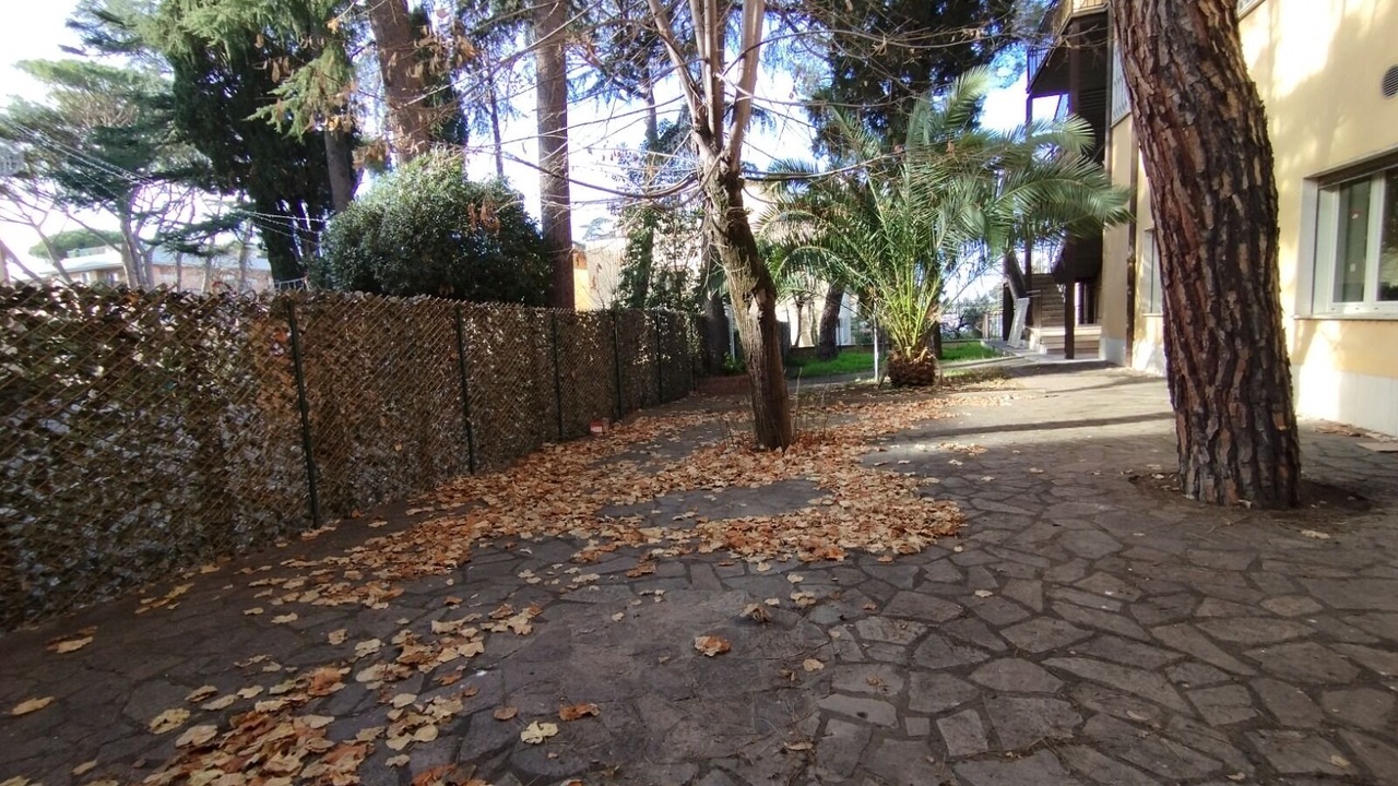 Photo of Outdoor in Cassia