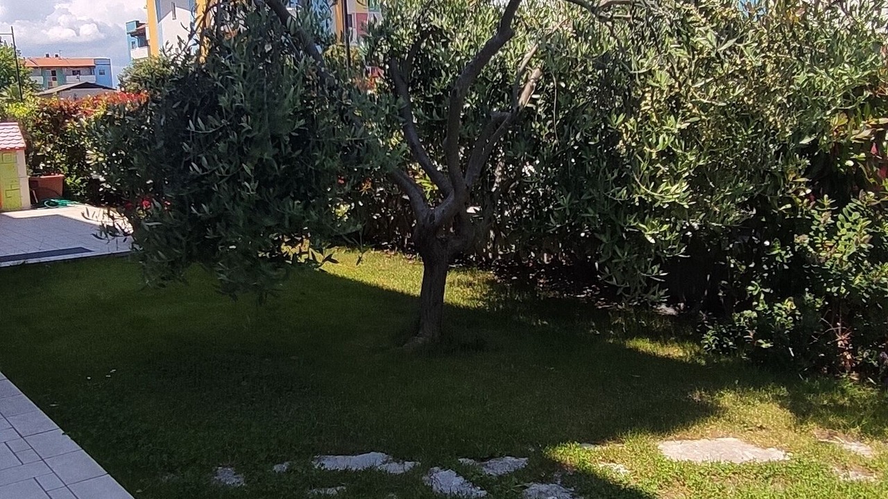 Photo of Others in Cologna Spiaggia