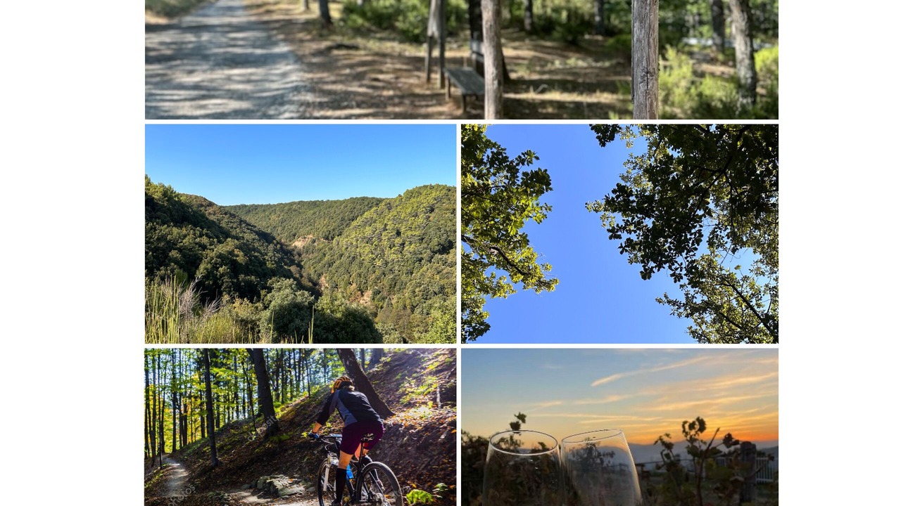 Photo of Outdoor in Noepoli