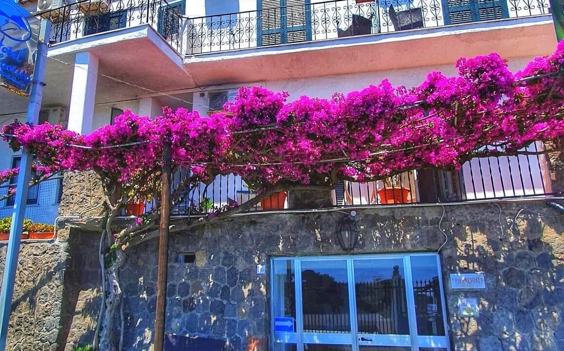 Photo of Outdoor in Panza
