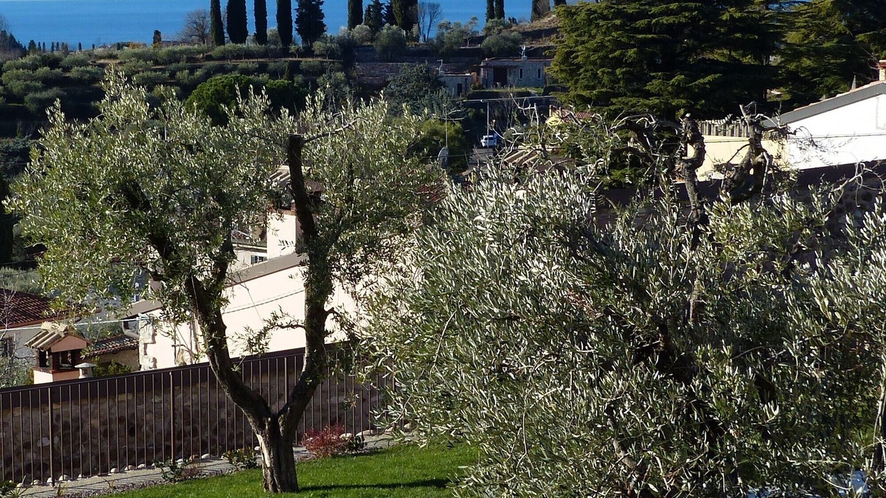 Photo of Outdoor in Cavaion Veronese