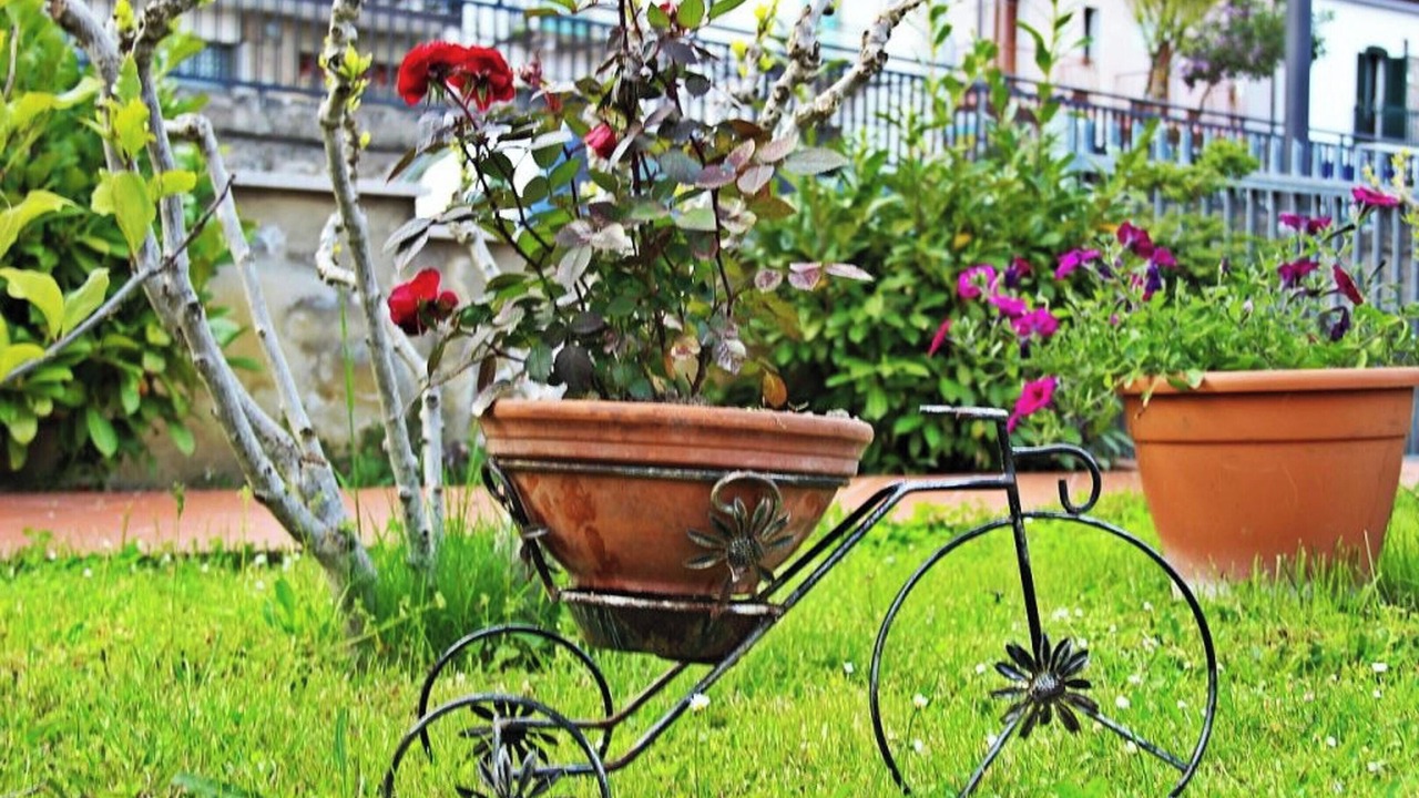 Photo of Outdoor in Calvello