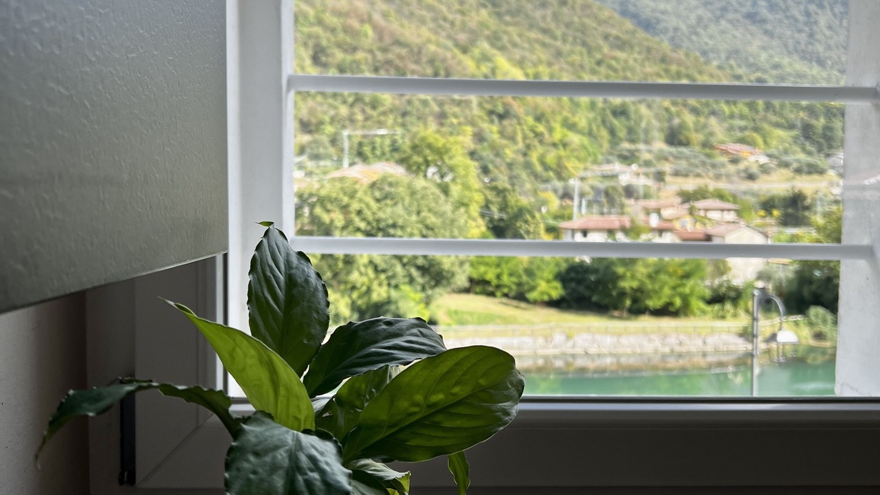 Photo of Others in Campolongo Sul Brenta