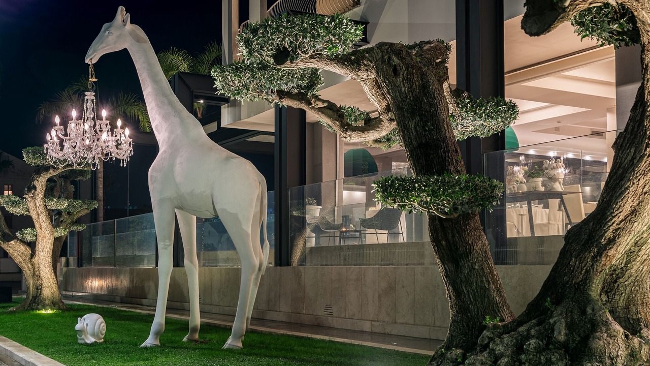 Photo of Outdoor in Laura