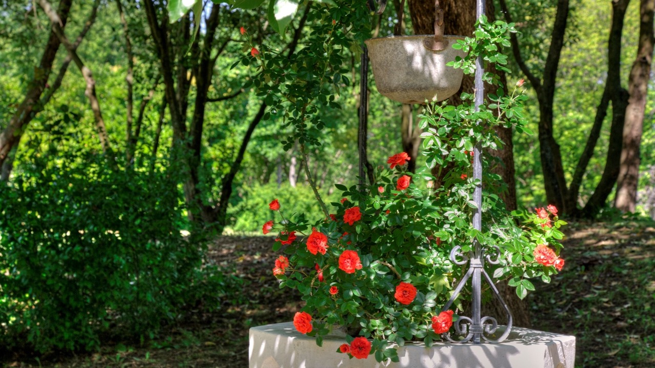 Photo of Outdoor in Pedeguarda di Follina