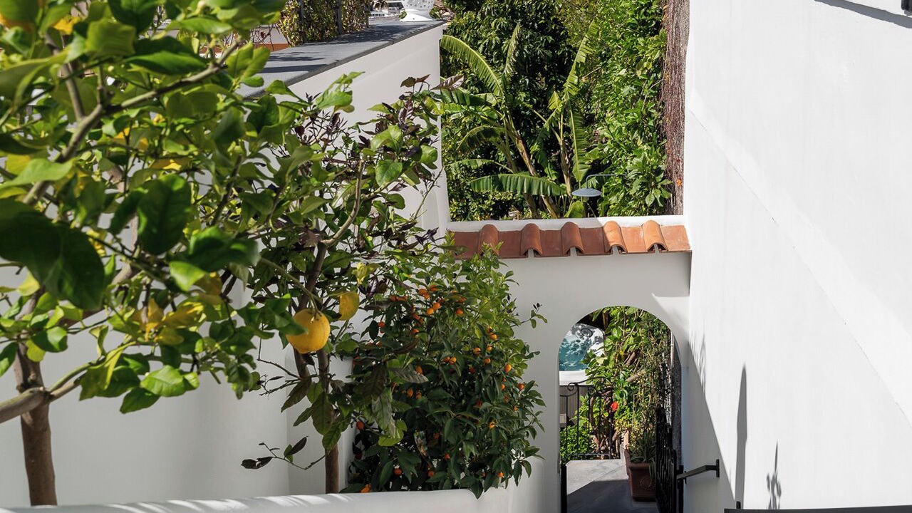 Photo of Others in Positano