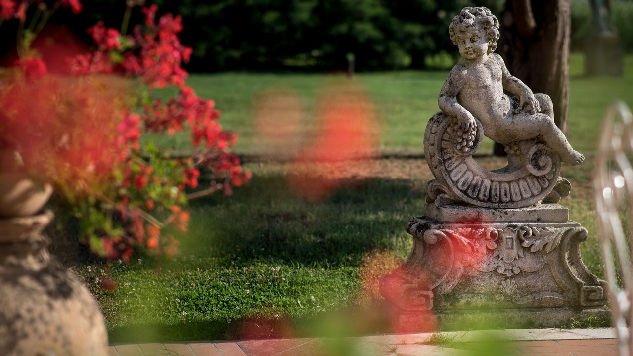 Photo of Outdoor in Olmo di Mira