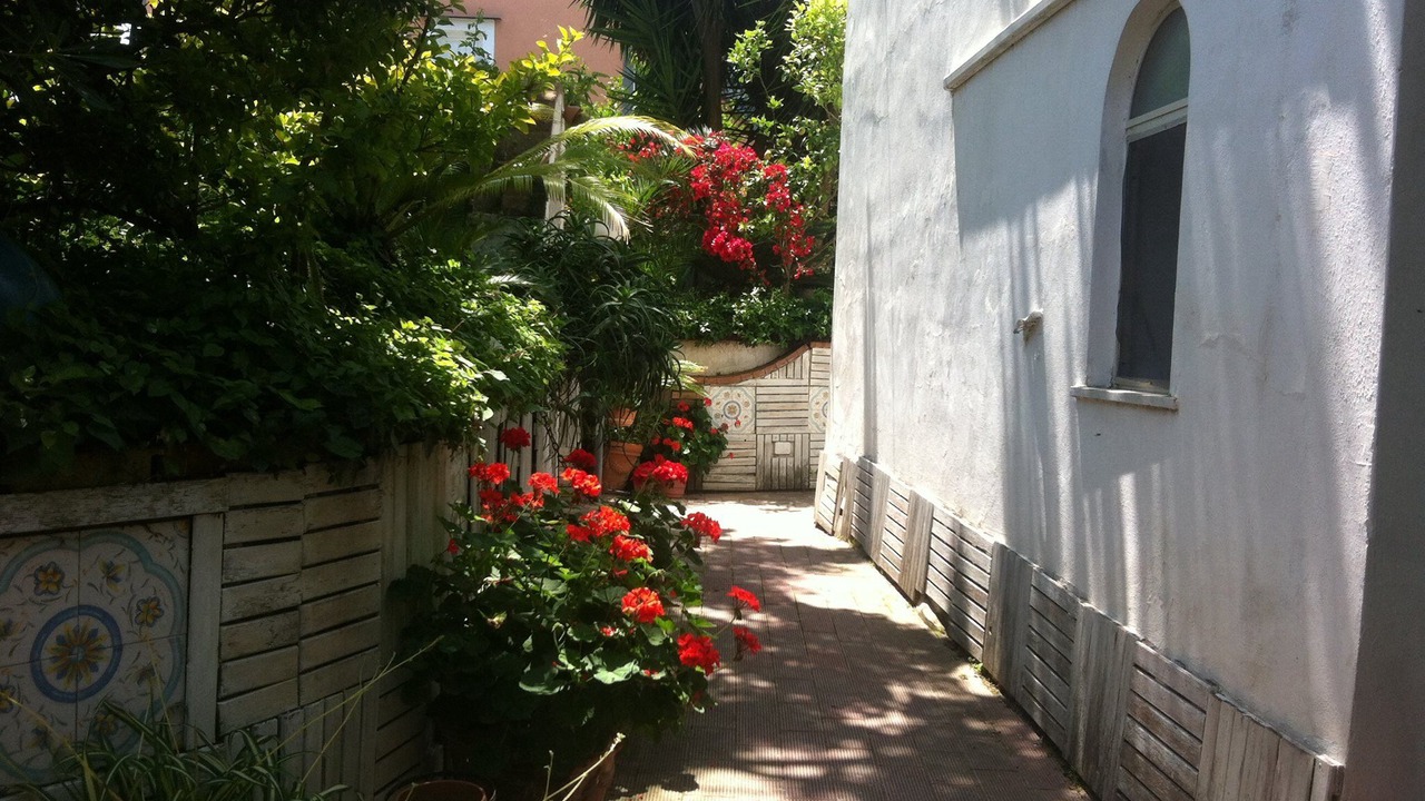 Photo of Outdoor in Procida