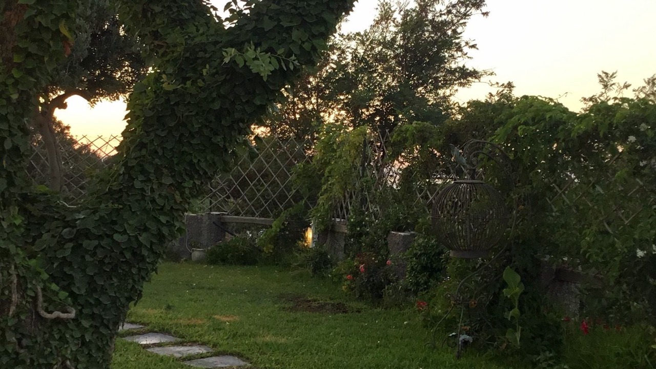 Photo of Outdoor in Panza
