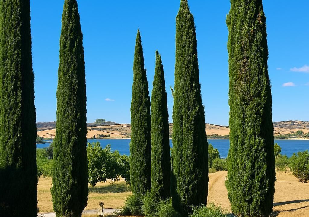 Photo of Outdoor in Chiusi