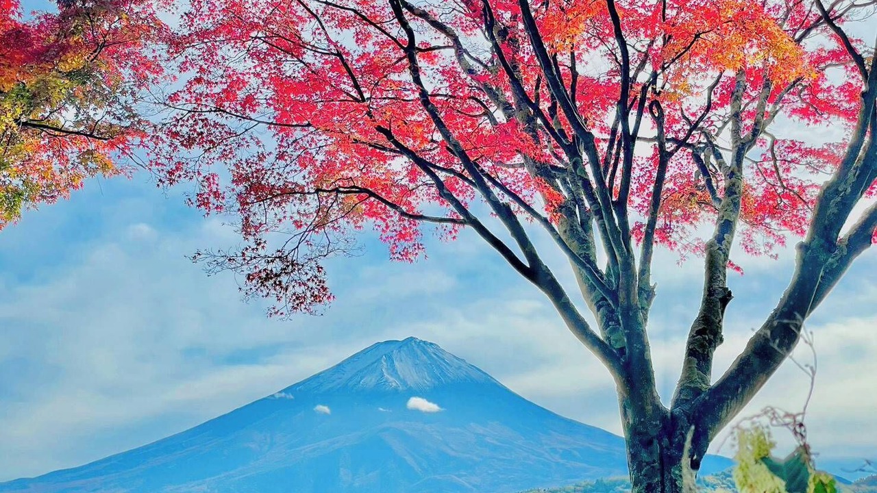 Photo of Outdoor in Oishi