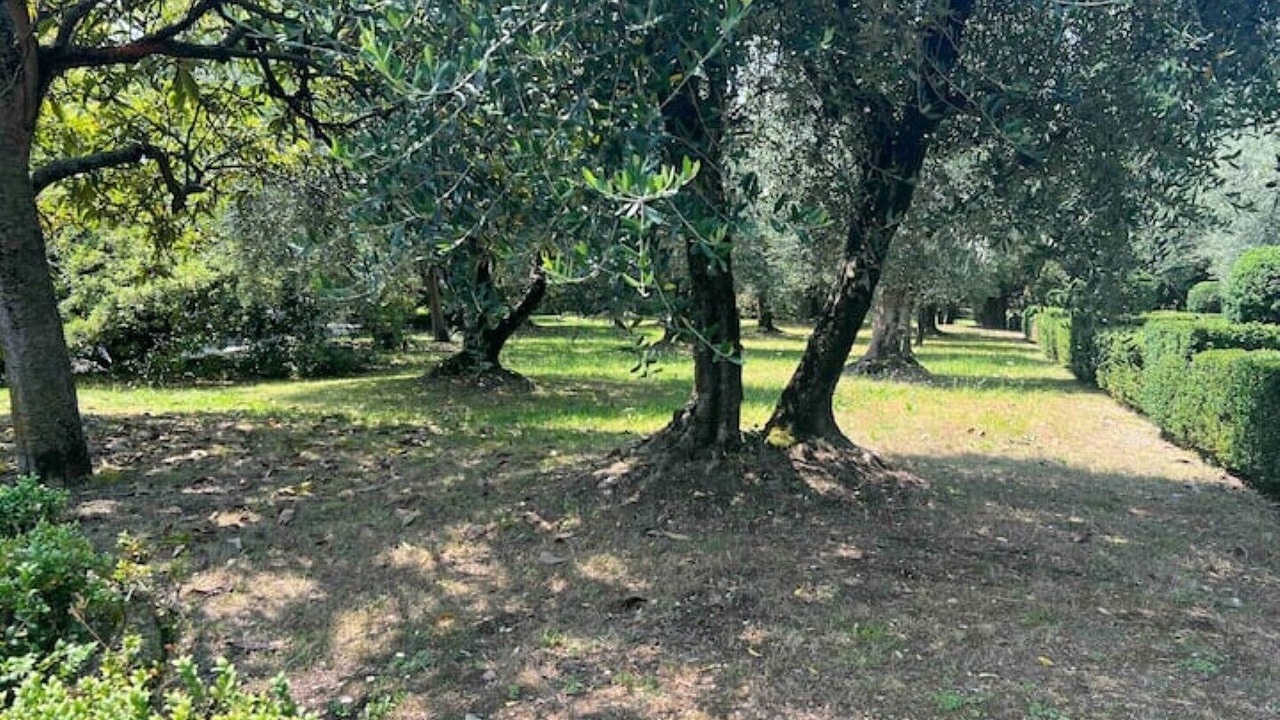 Photo of Outdoor in Bardolino