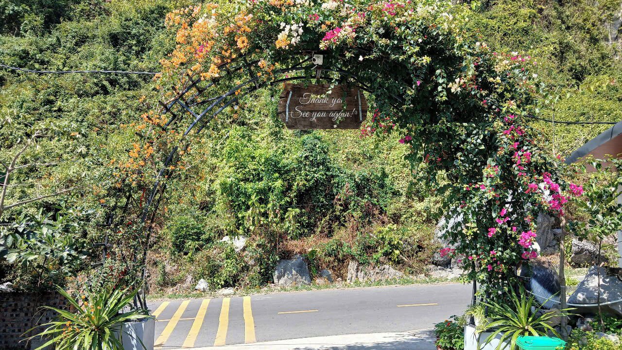 Photo of Outdoor in Cat Hai