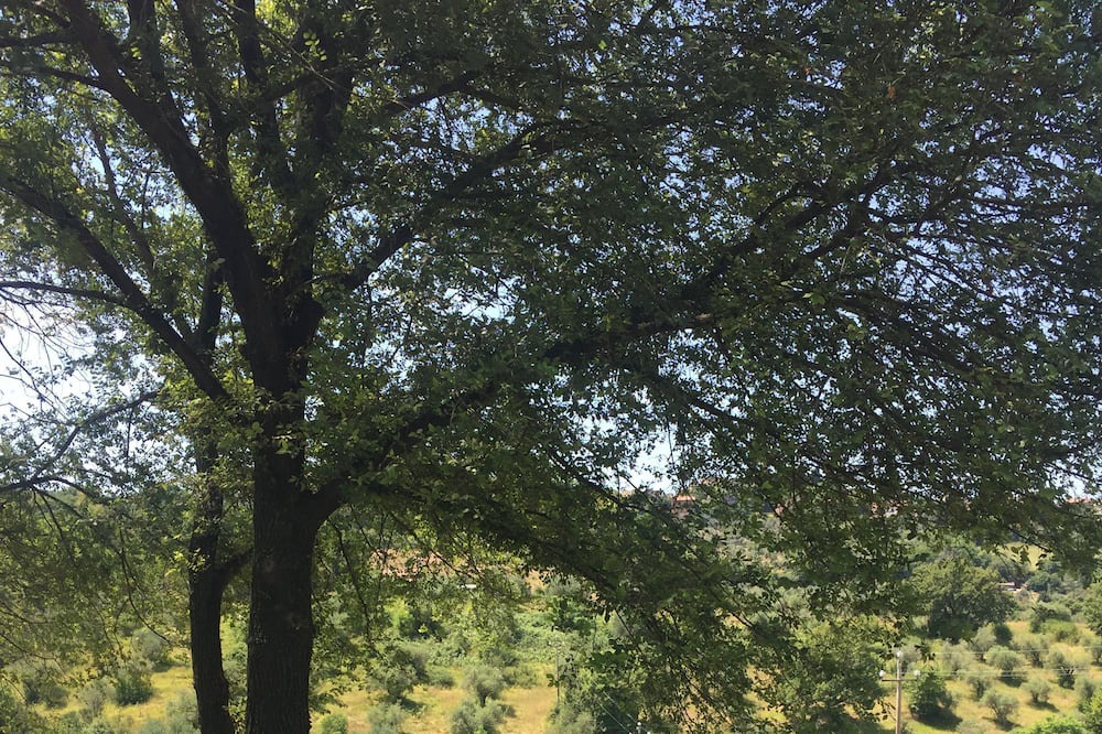 Photo of Outdoor in Castelnuovo di Farfa