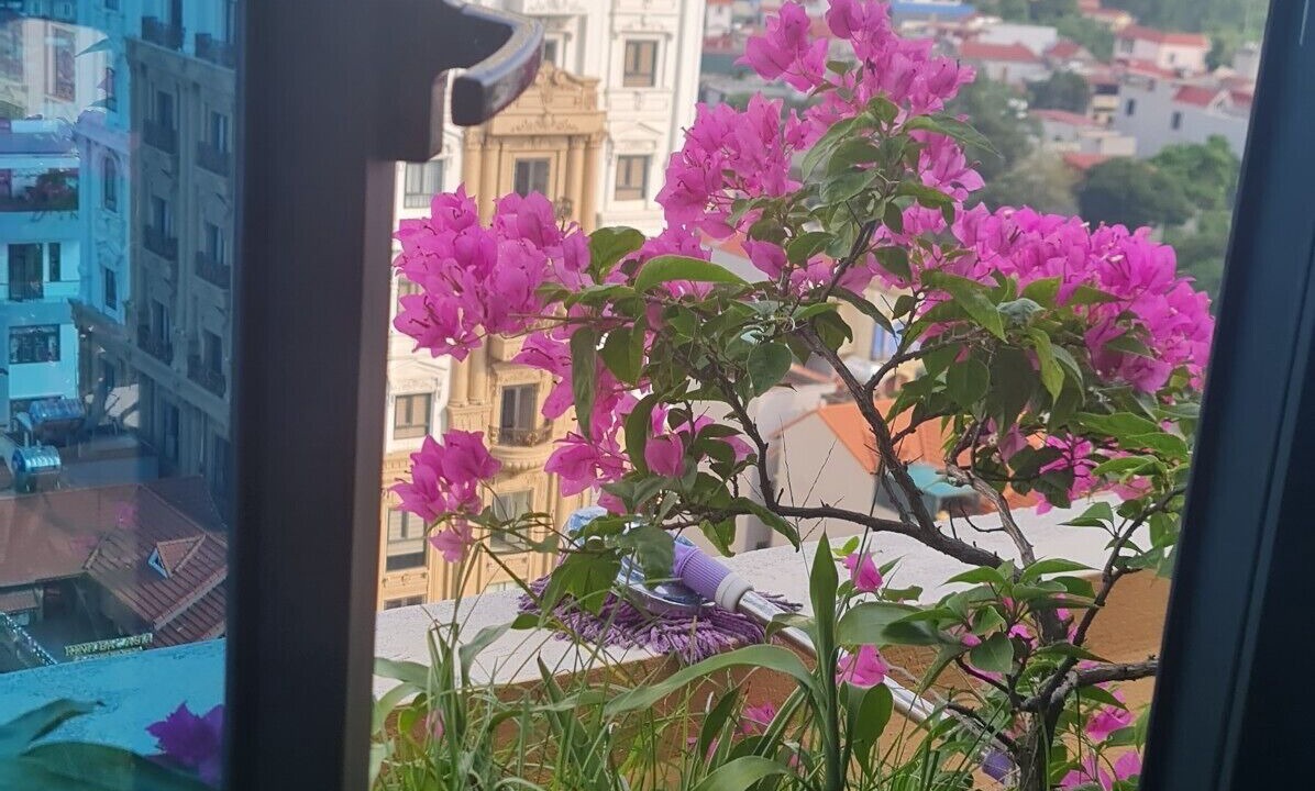 Photo of Outdoor in Bac Ninh