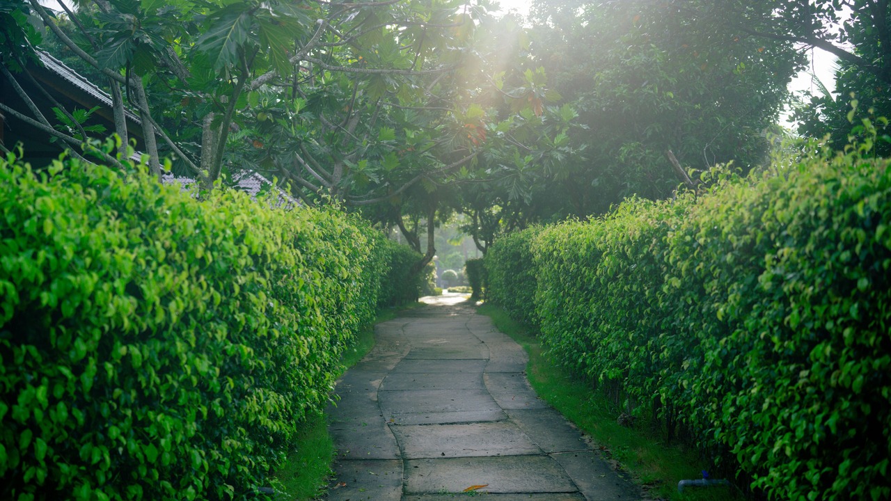 Photo of Outdoor in Ong Lang