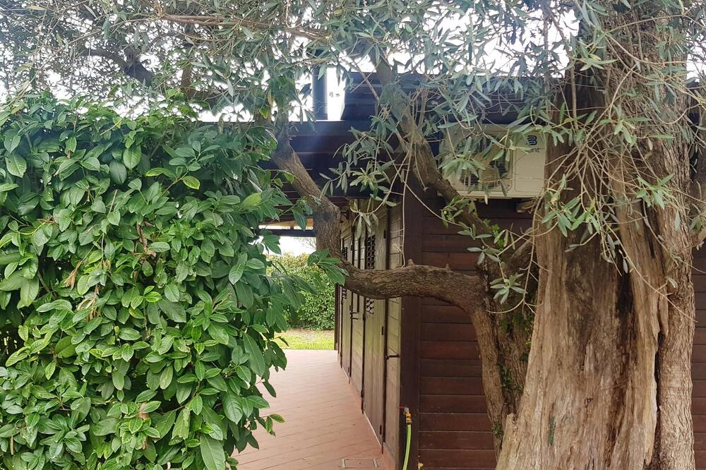 Photo of Outdoor in Sant'Antonio Abate