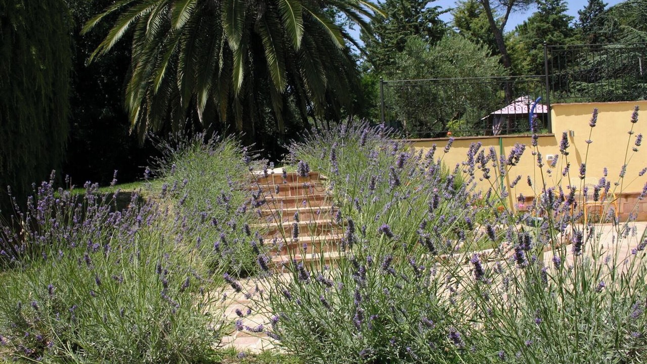 Photo of Outdoor in Mogliano