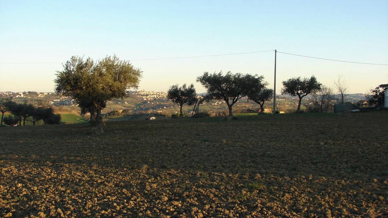 Photo of Others in Mogliano