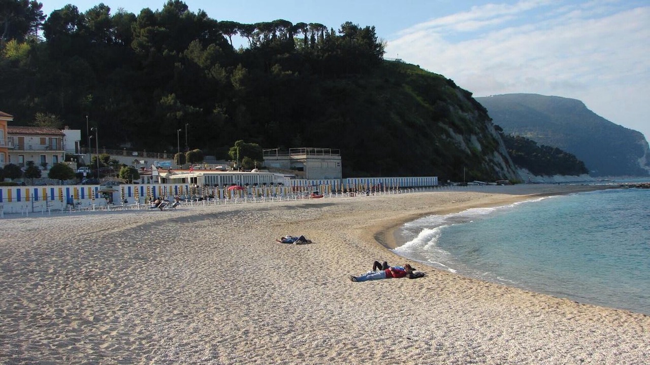 Photo of Others in Mogliano