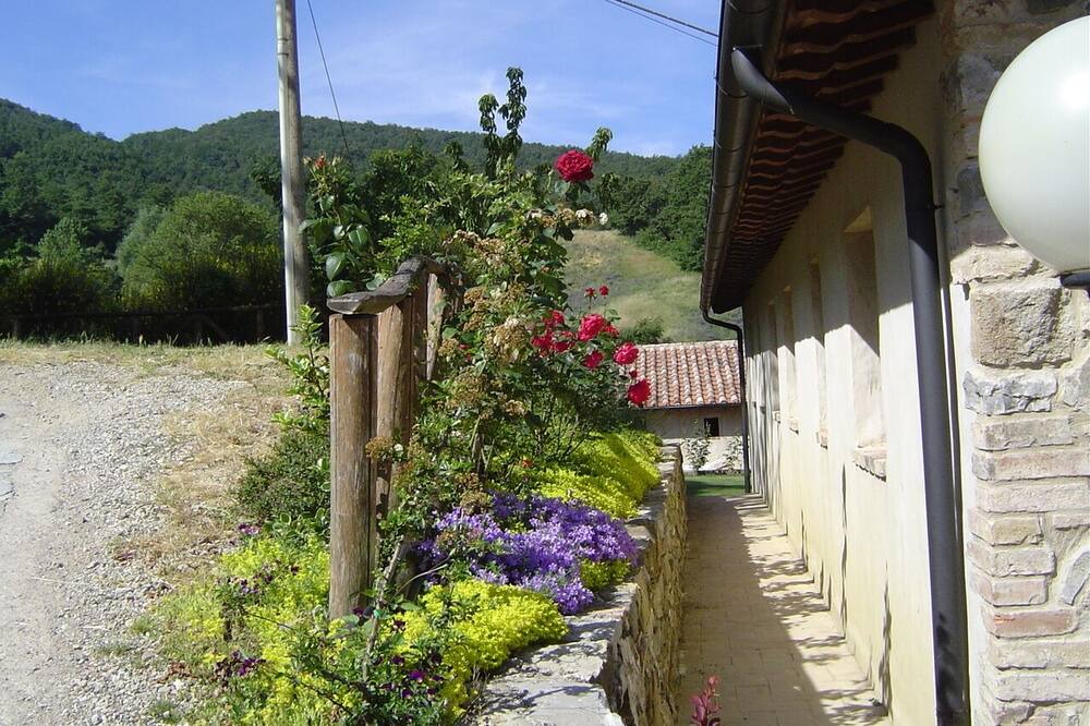 Photo of Outdoor in Castell'Azzara