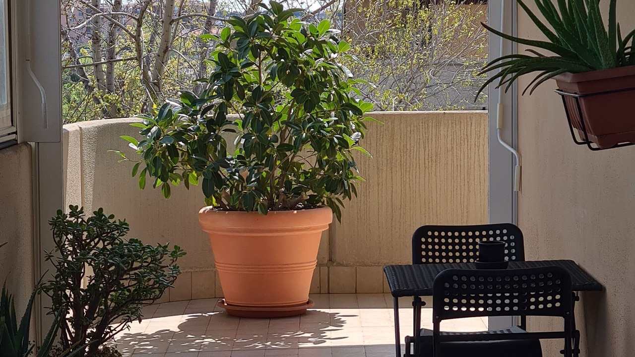 Photo of Outdoor in Rome Province