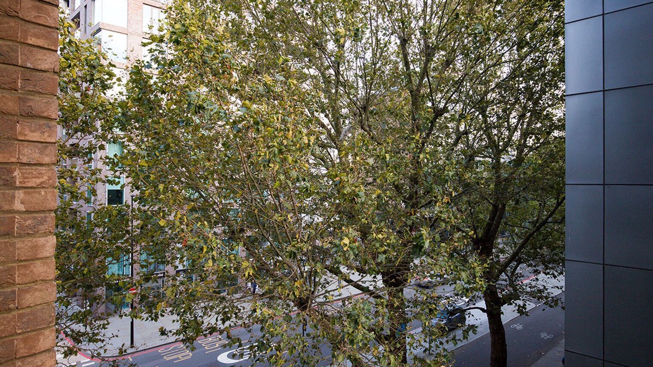 Photo of Outdoor in Waterloo