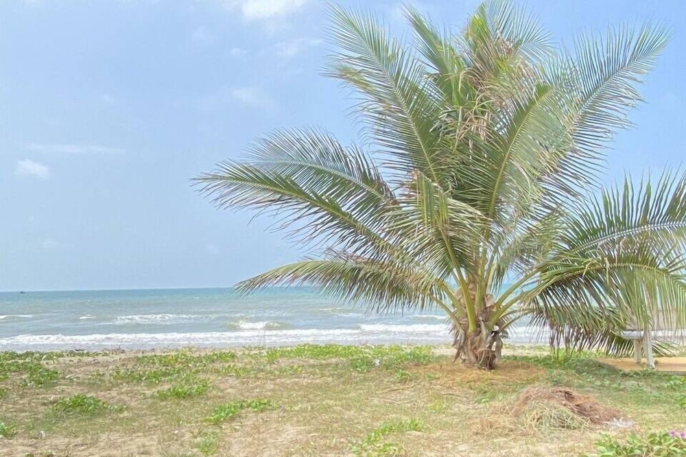 Photo of Others in Tuy Phong