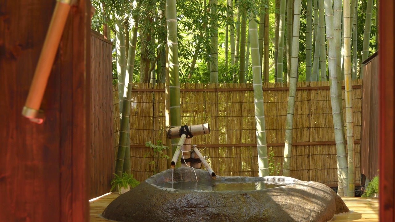 Photo of Others in Izu