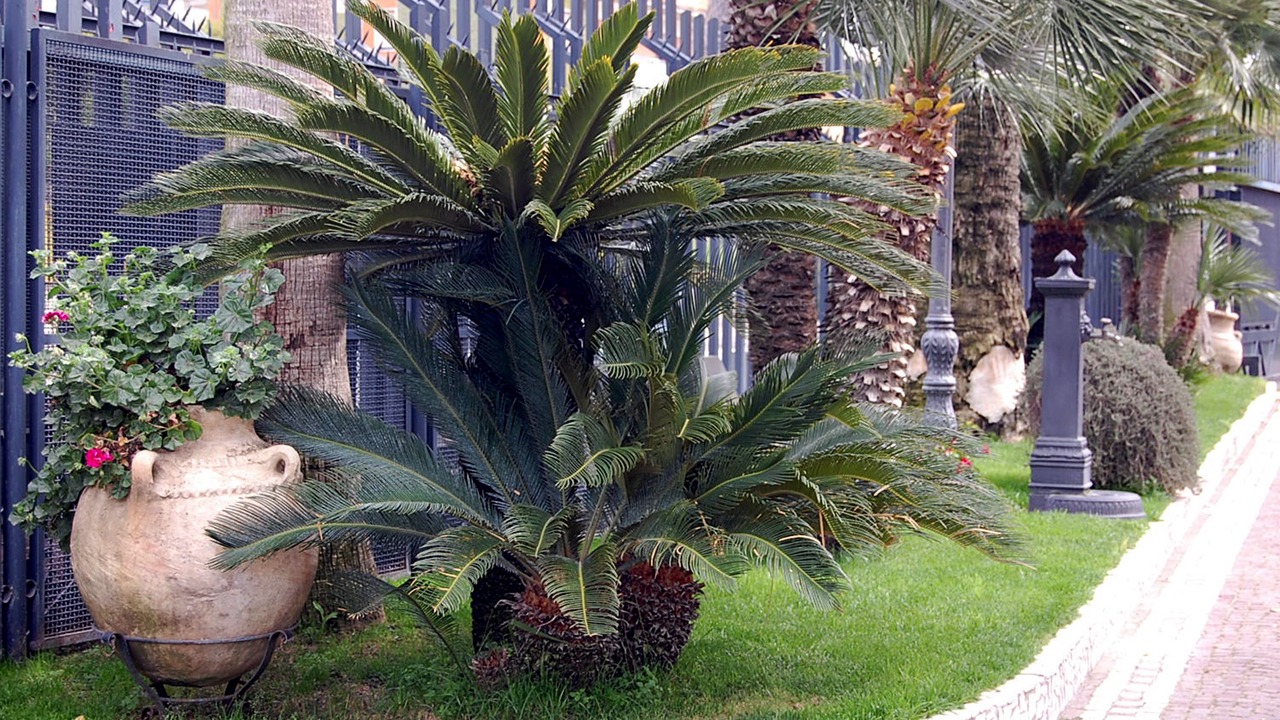 Photo of Buildings in Calvizzano