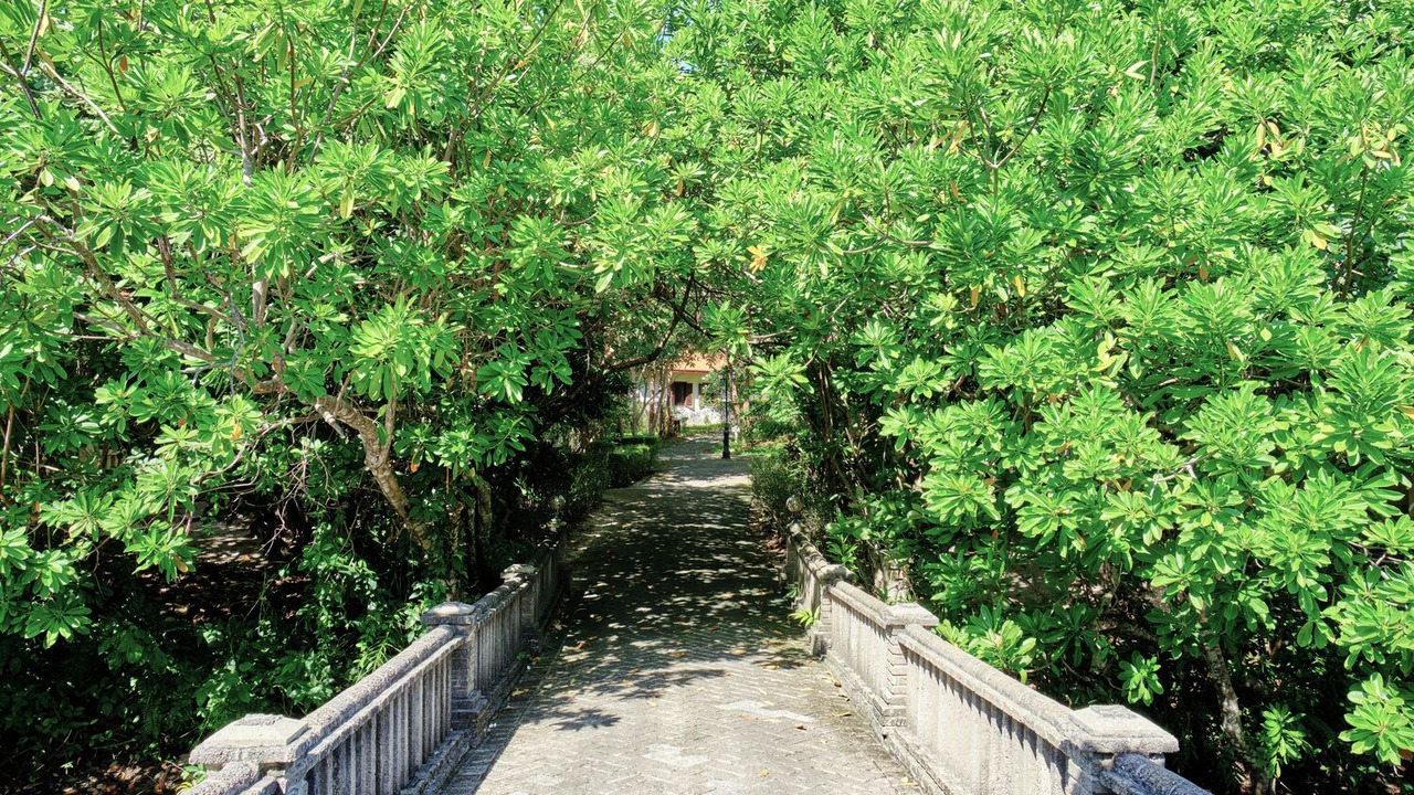 Photo of Outdoor in Con Son