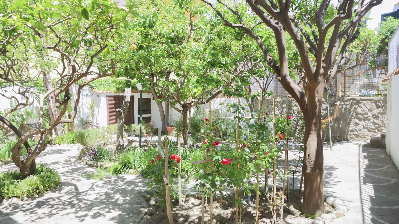 Photo of Outdoor in Forio