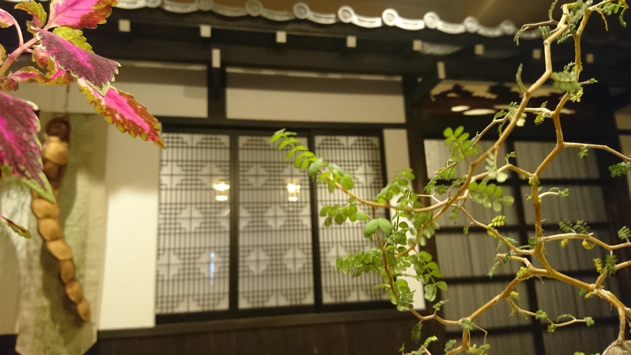 Photo of Outdoor in Sakyo Ward