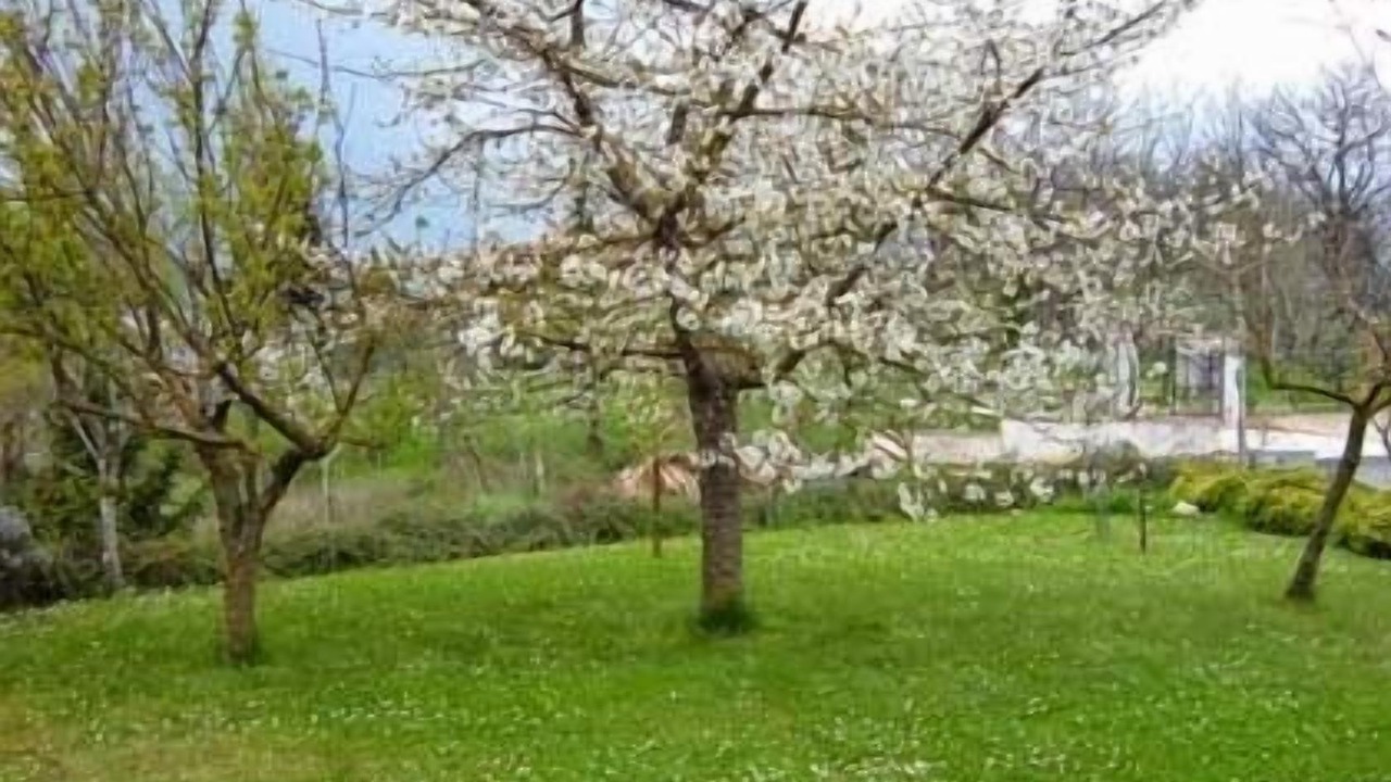 Photo of Outdoor in Posta Fibreno