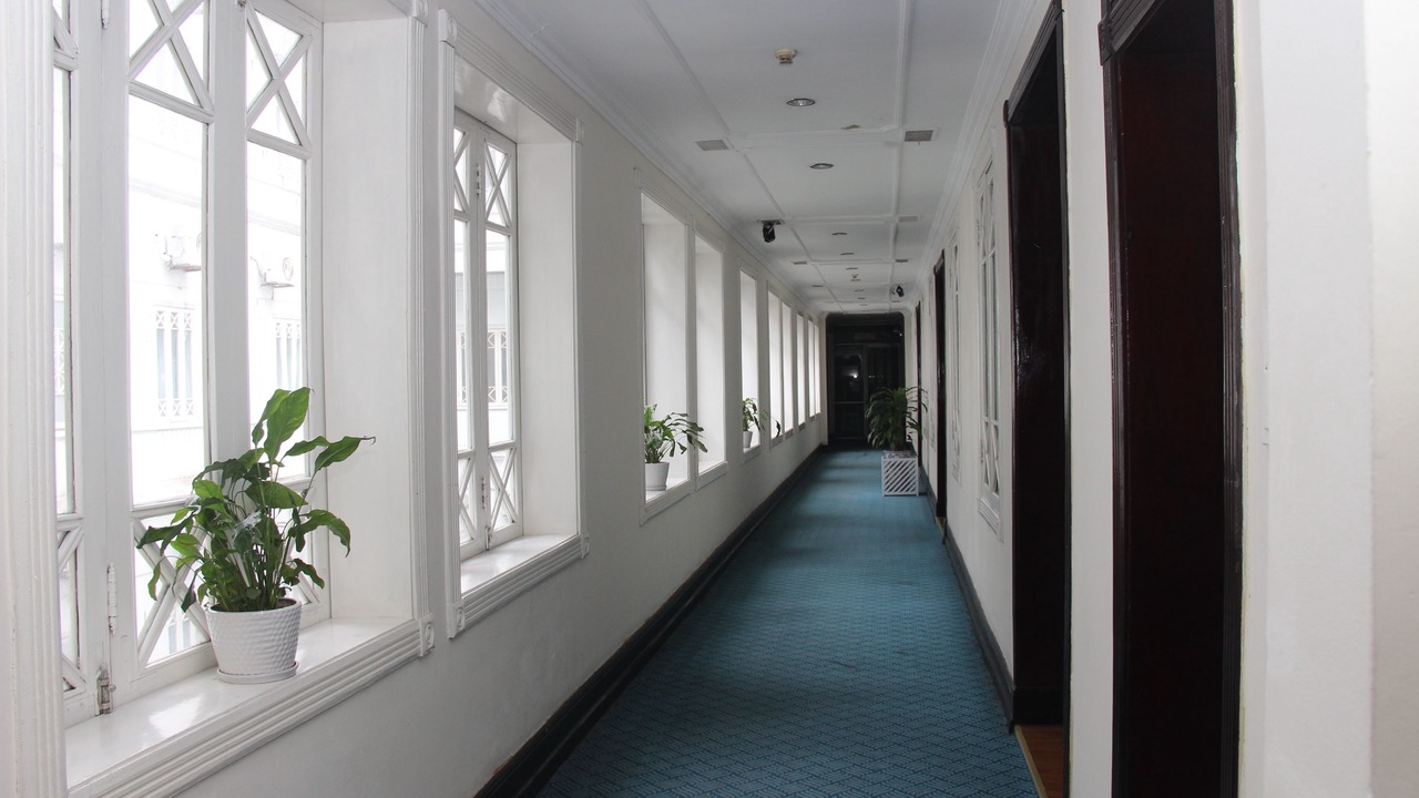 Photo of Others in Hang Bai