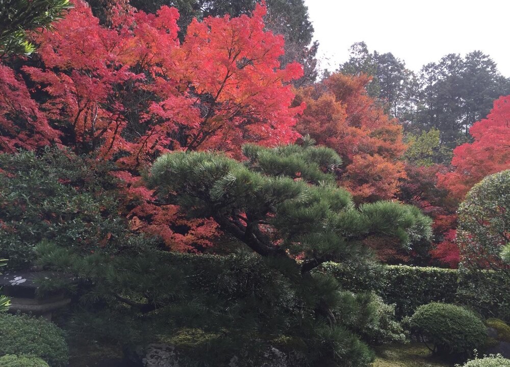 Photo of Outdoor in Ukyo Ward