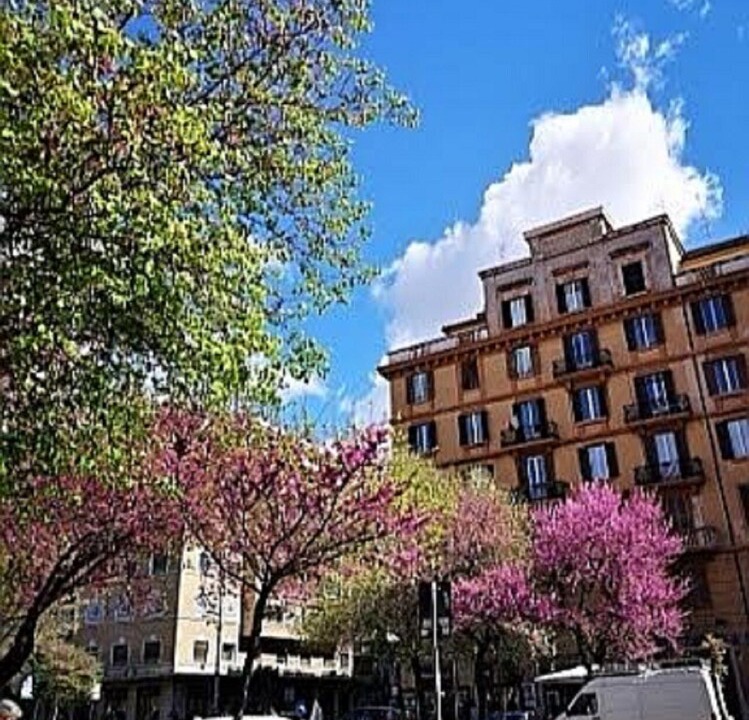 Photo of Outdoor in Quartiere XIII Aurelio