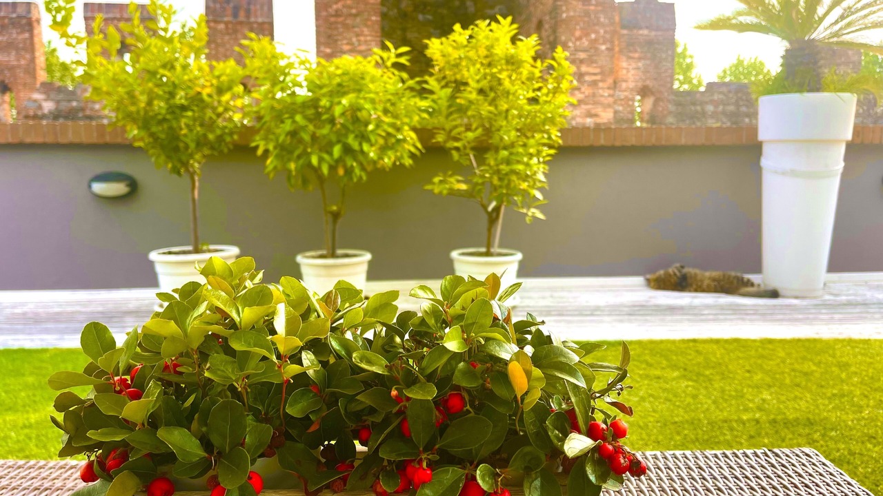 Photo of Outdoor in Montagnana