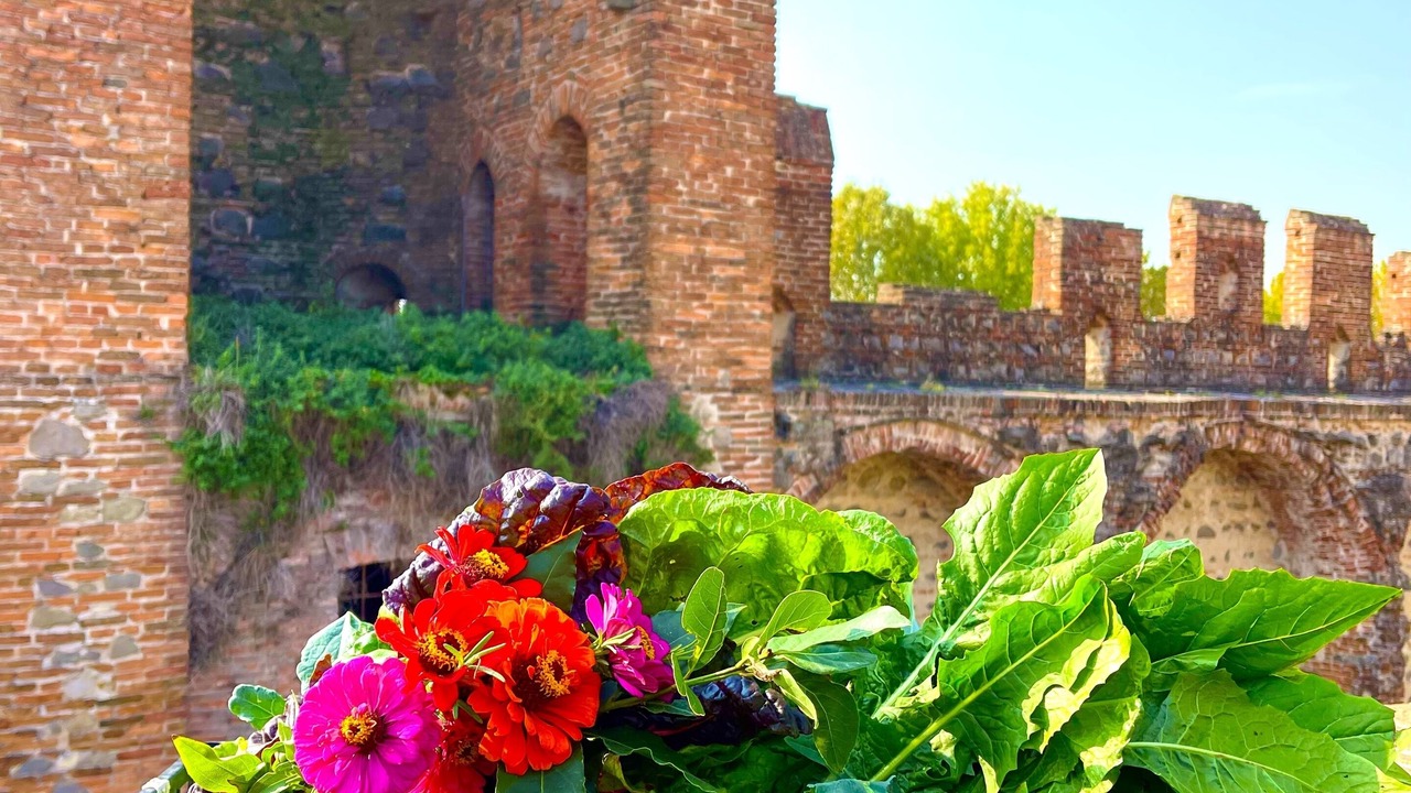 Photo of Outdoor in Montagnana