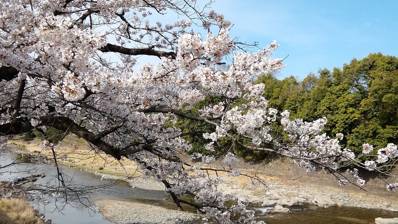 Photo of Outdoor in Shimogyo