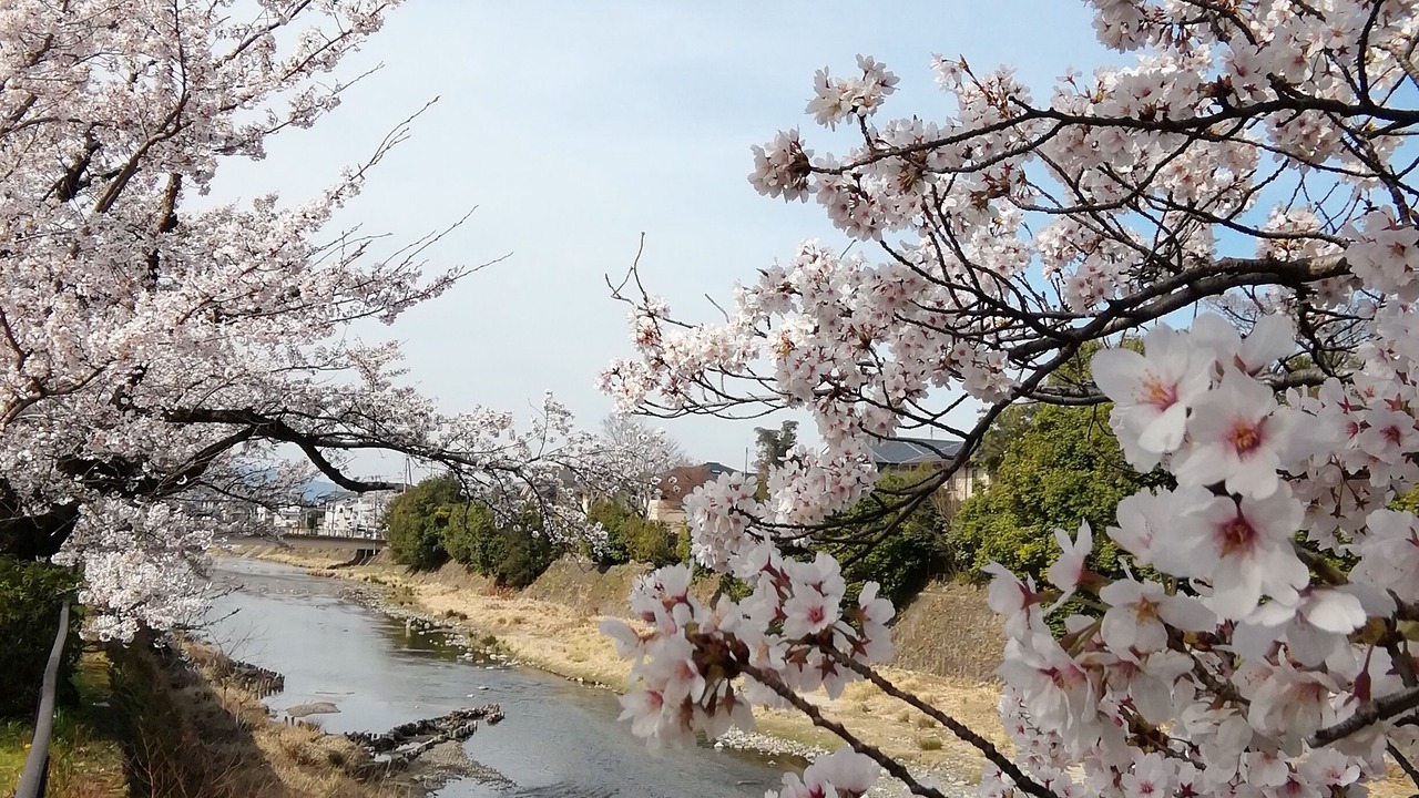 Photo of Outdoor in Shimogyo