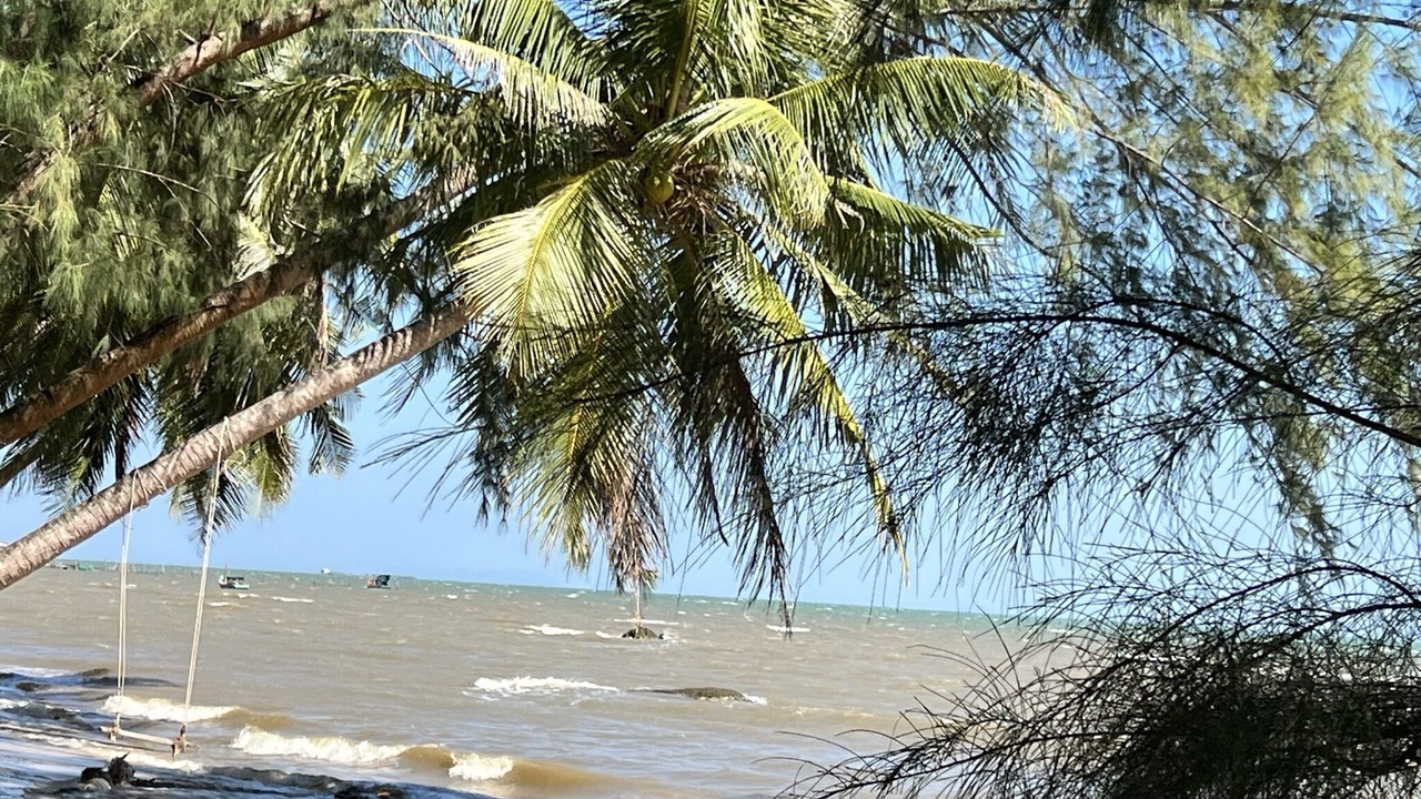 Photo of Others in Ham Ninh