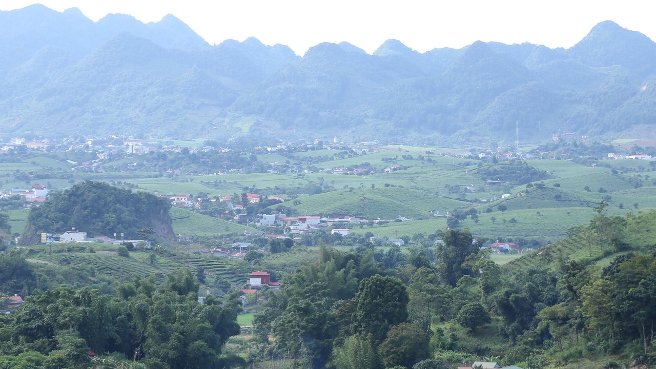 Photo of Others in Van Ho