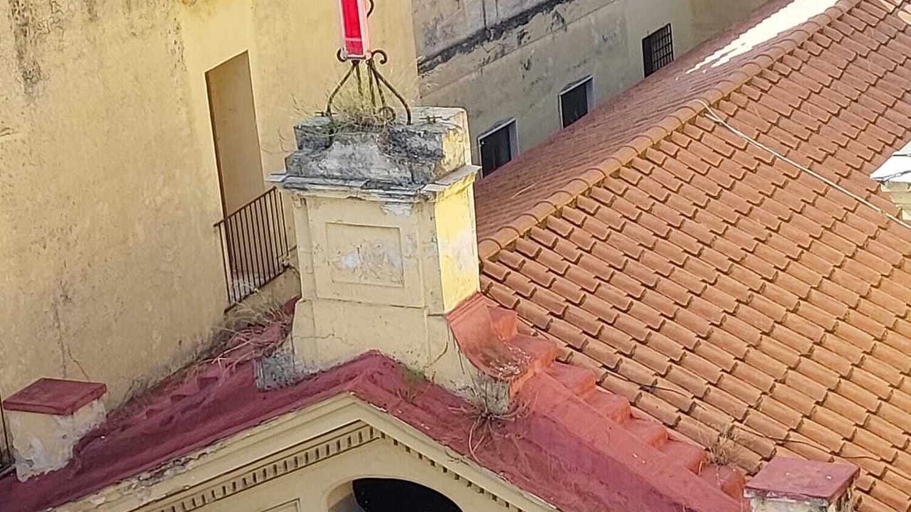 Photo of Others in San Ferdinando