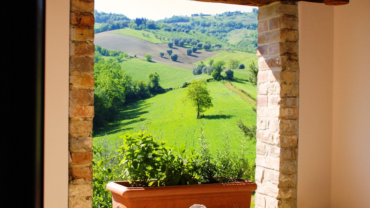 Photo of Outdoor in Offida