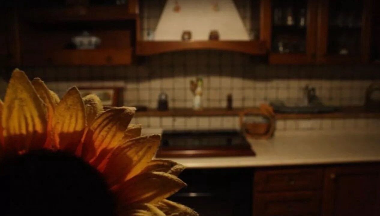 Photo of Kitchen in Montecampano