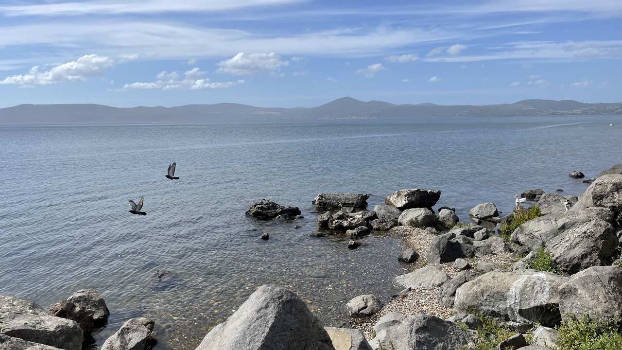 Photo of Others in Lake Bracciano