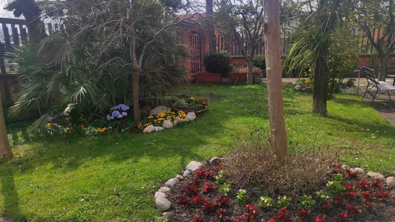 Photo of Outdoor in Sora