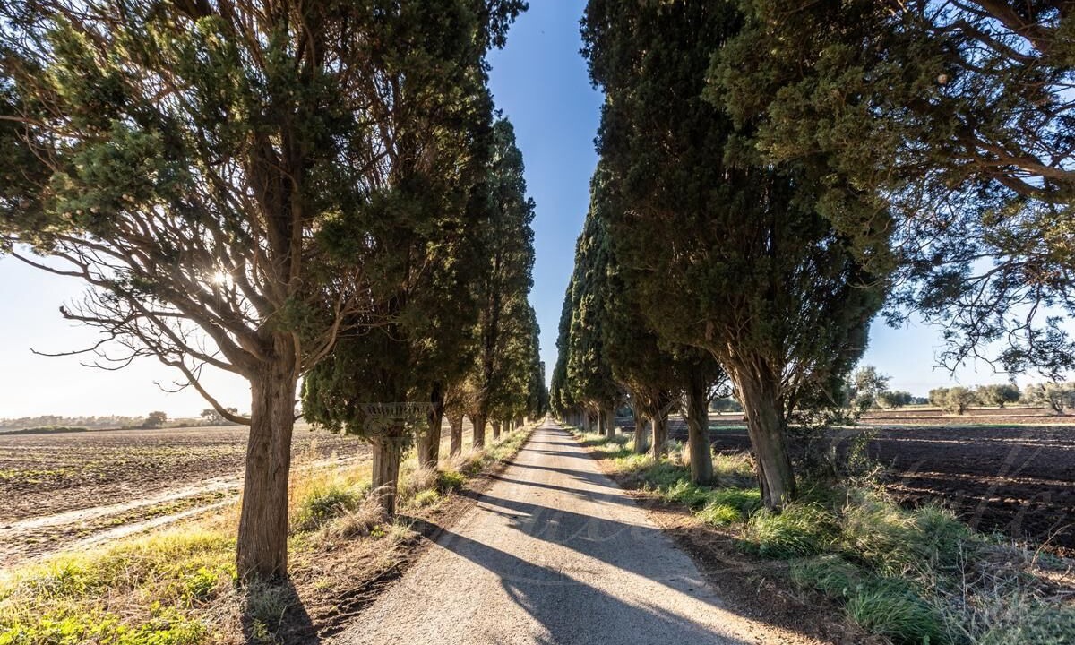Photo of Others in Tarquinia